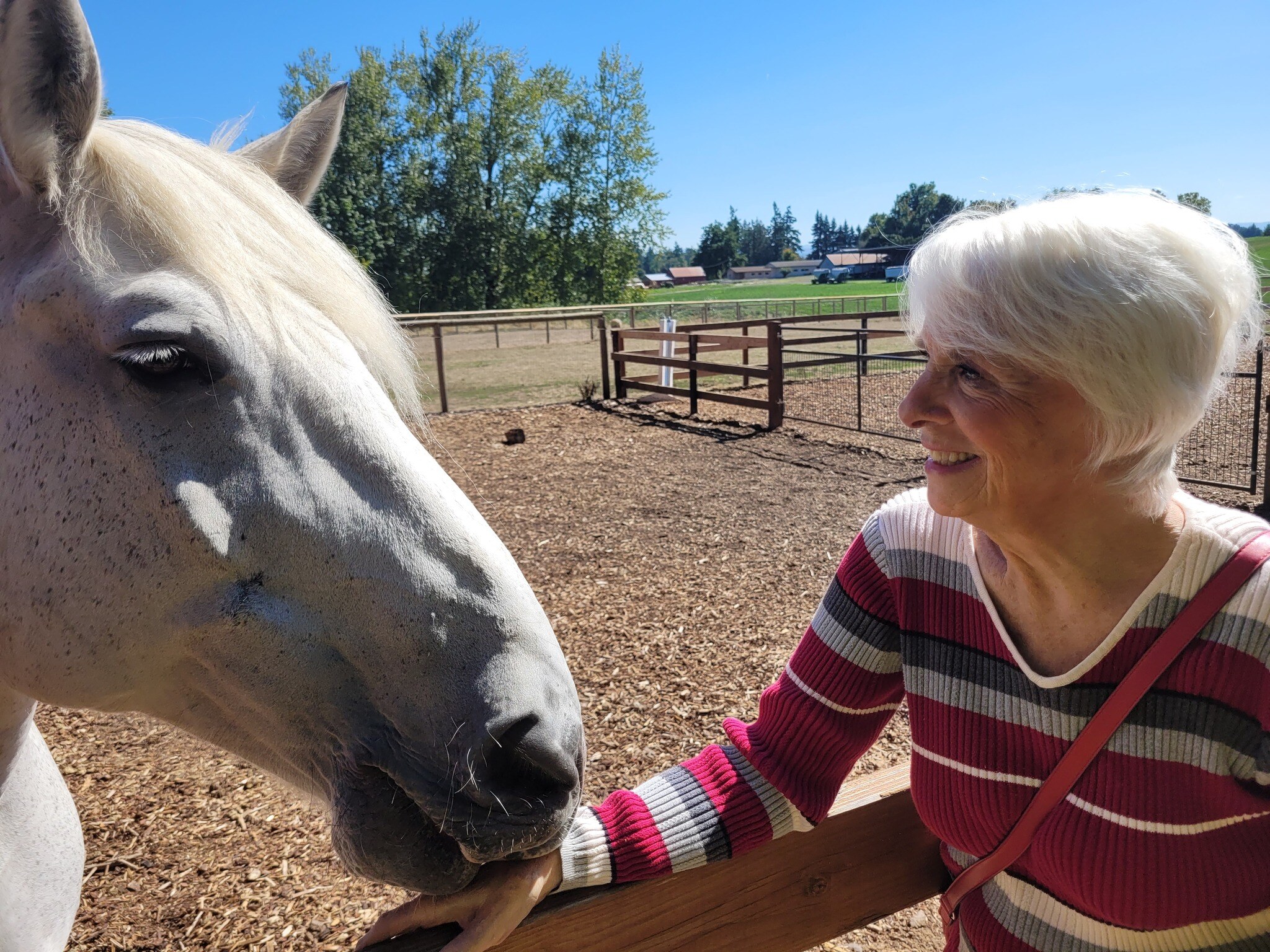 384993453_907932530858793_752245055419216688_n