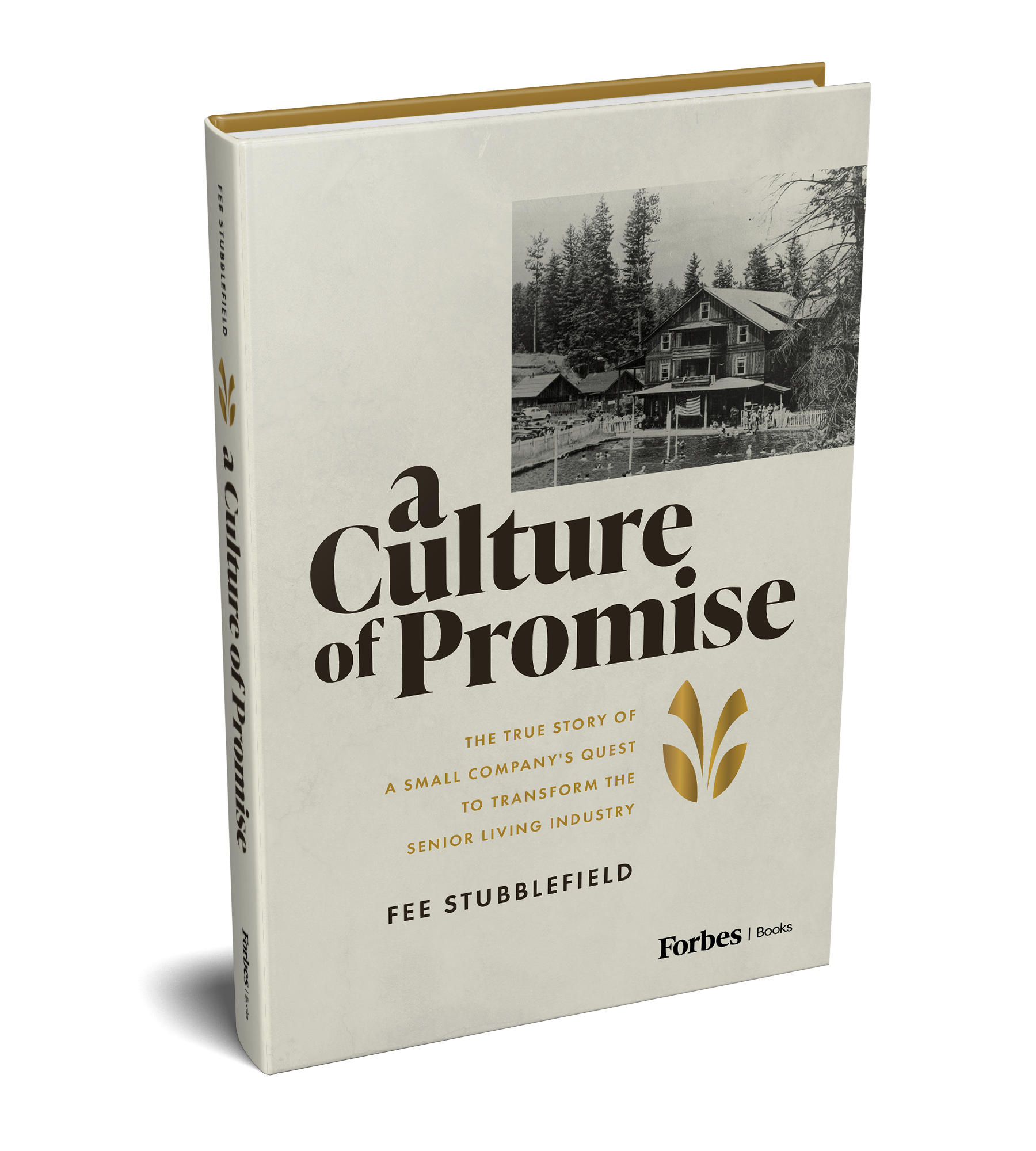 Fee Stubblefield_A Culture of Promise_3dCover_f_HiRes
