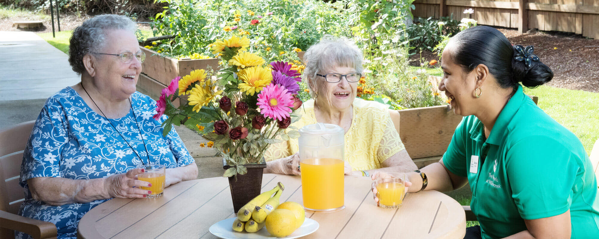 Header_WEB-WDS copy_Resized