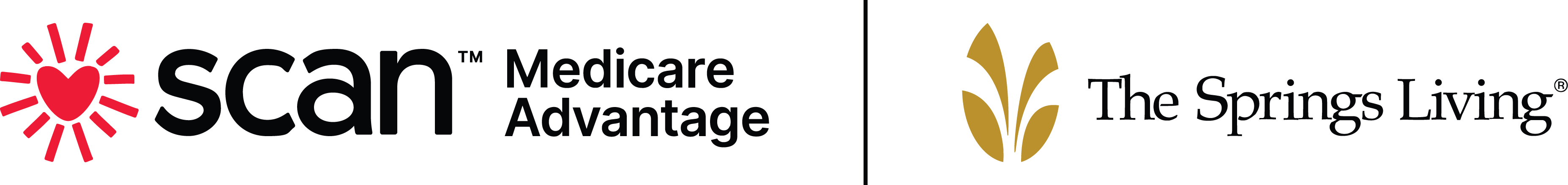 TSL-Scan_LogoLockup_FullColor_Horiz