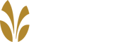 The Springs at Butte