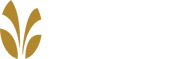 The Springs at Grand Park