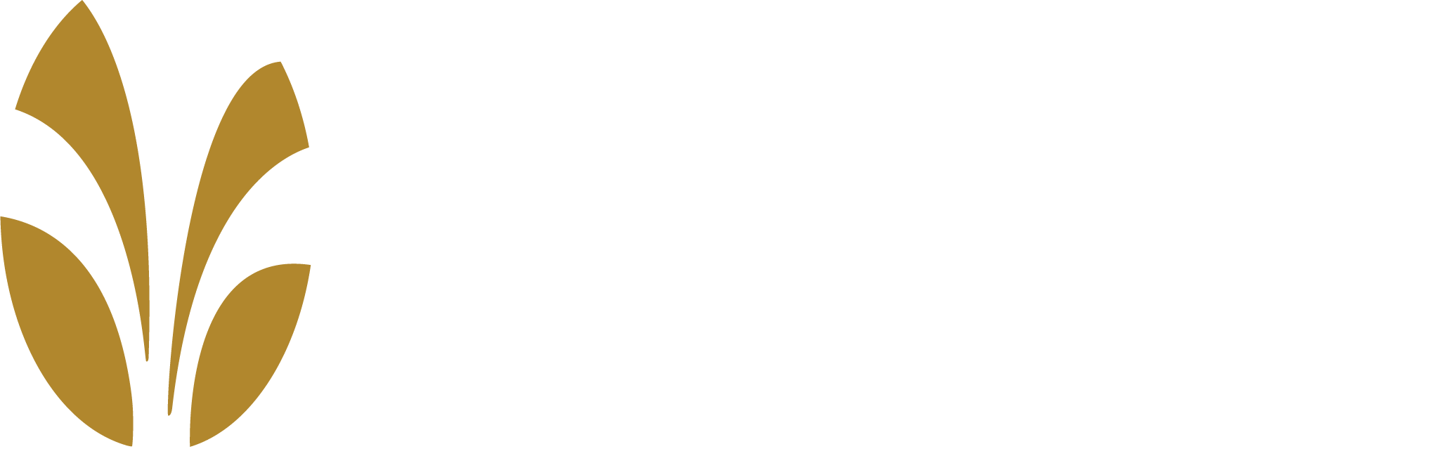 The Springs at Mill Creek