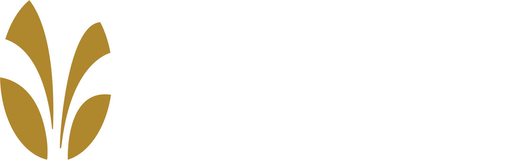 The Springs at Veranda Park
