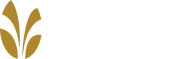 The Springs at Willowcreek