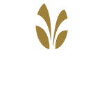 The Springs Living