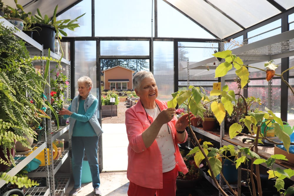 Two residents tending to the plants in the green house at The Springs at Greer Gardens in Eugene, Oregon.